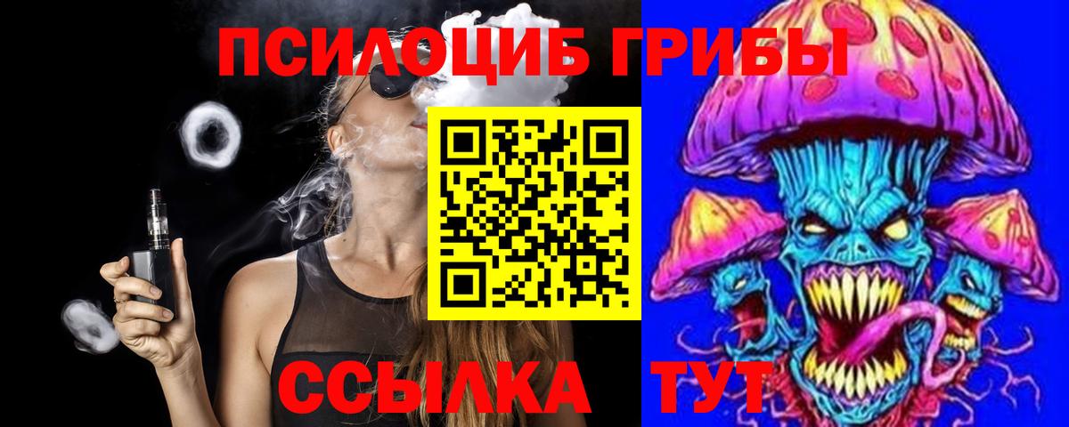 Мурино  Галлюциногенные грибы Cubensis  Вход с VPN 
