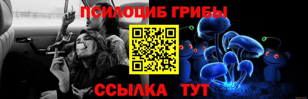 Псилоцибиновые грибы MAGIC MUSHROOMS Мурино
