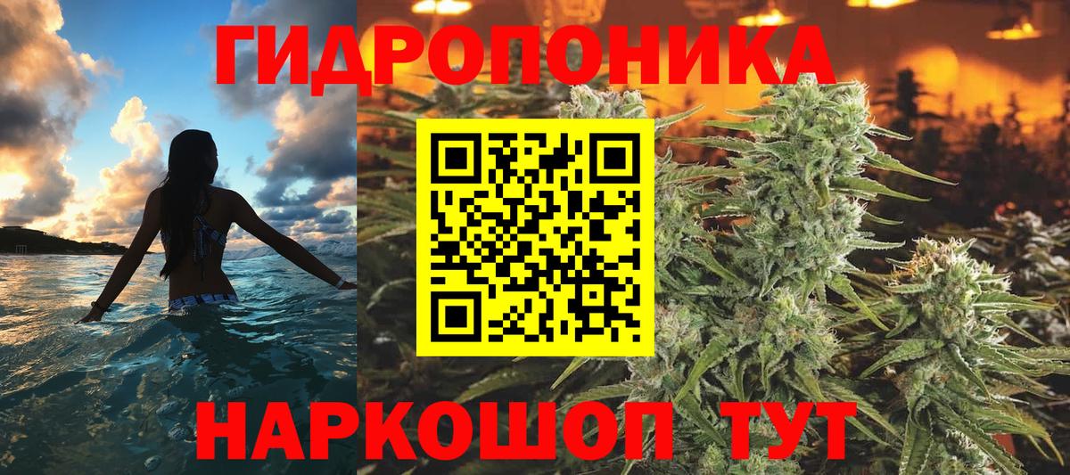 Марихуана гибрид  Вход с VPN  МАРИХУАНА индика  Канабис гибрид  Мурино  Каннабис White Widow 